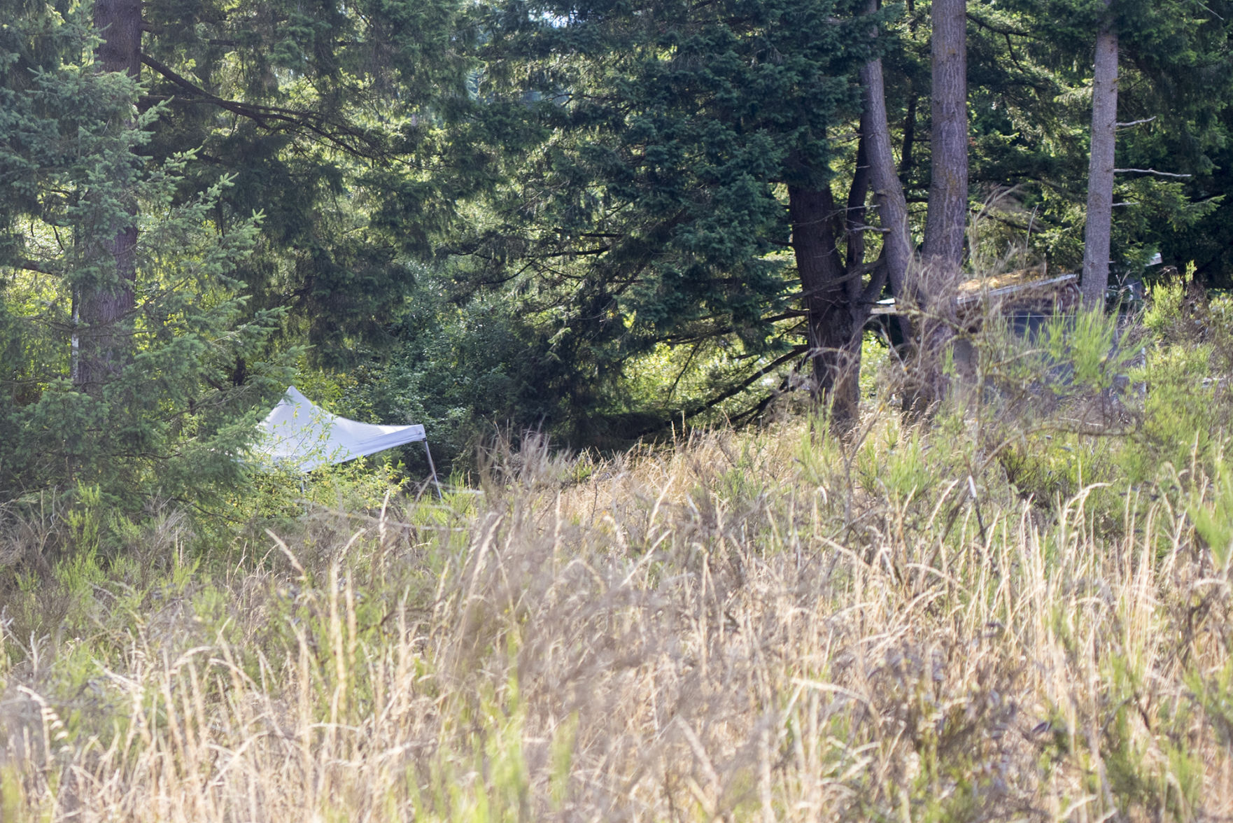 Nancy Moyer Crime Scene